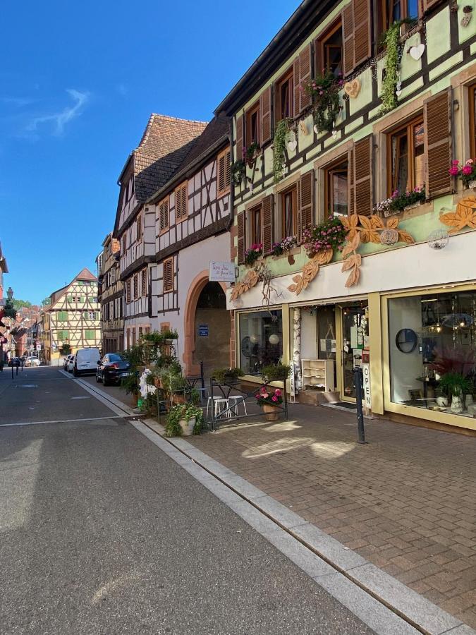 Apartmán Tiers Lieu 59 Grand Rue Bouxwiller  Exteriér fotografie